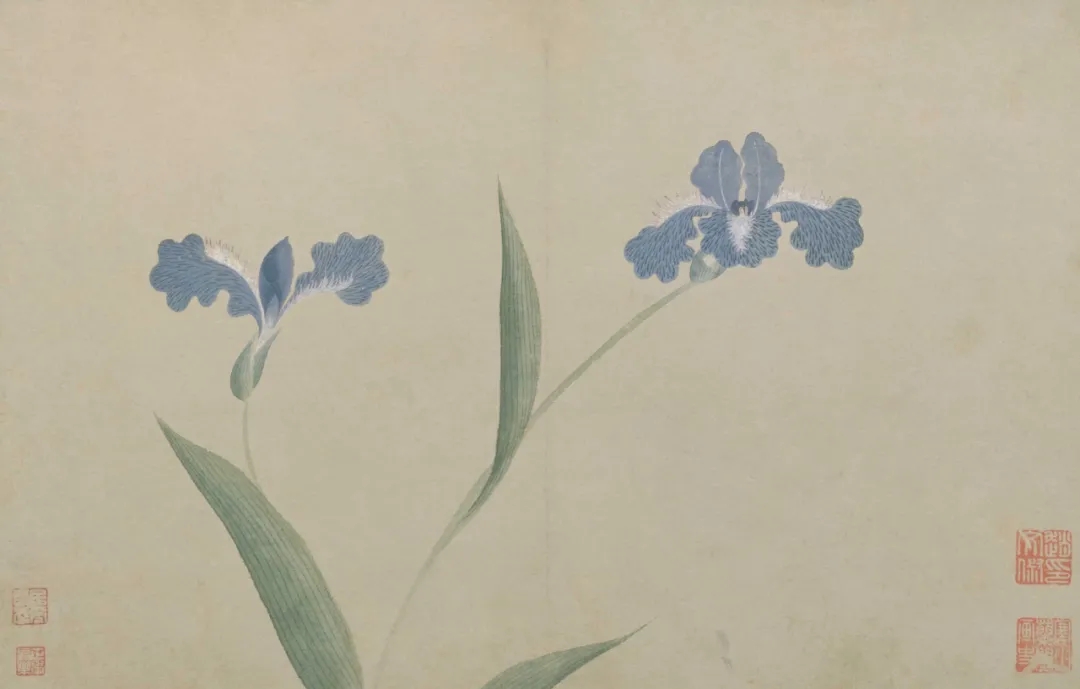  （明）文俶《花卉图册》，故宫博物院藏