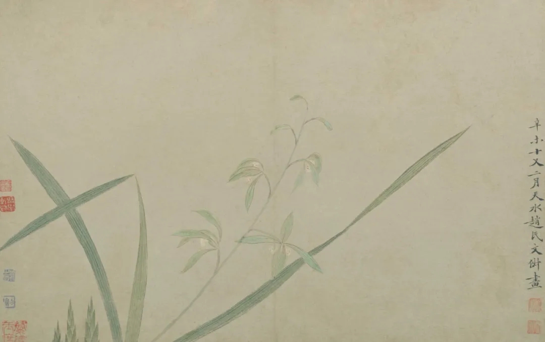  （明）文俶《花卉图册》，故宫博物院藏