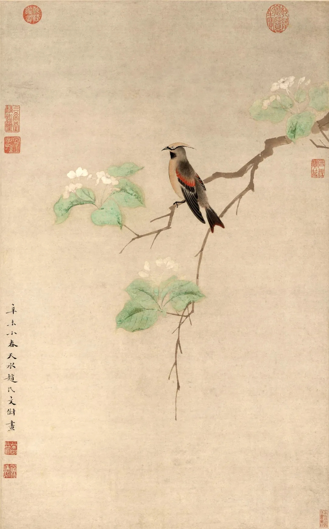 （明）文俶《碧叶绣羽图轴》，上海博物馆藏