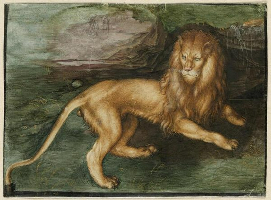 丢勒，《狮子》，1494