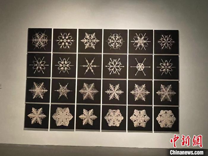 作品《雪花工场》由计算机生成?！⊥τ?摄