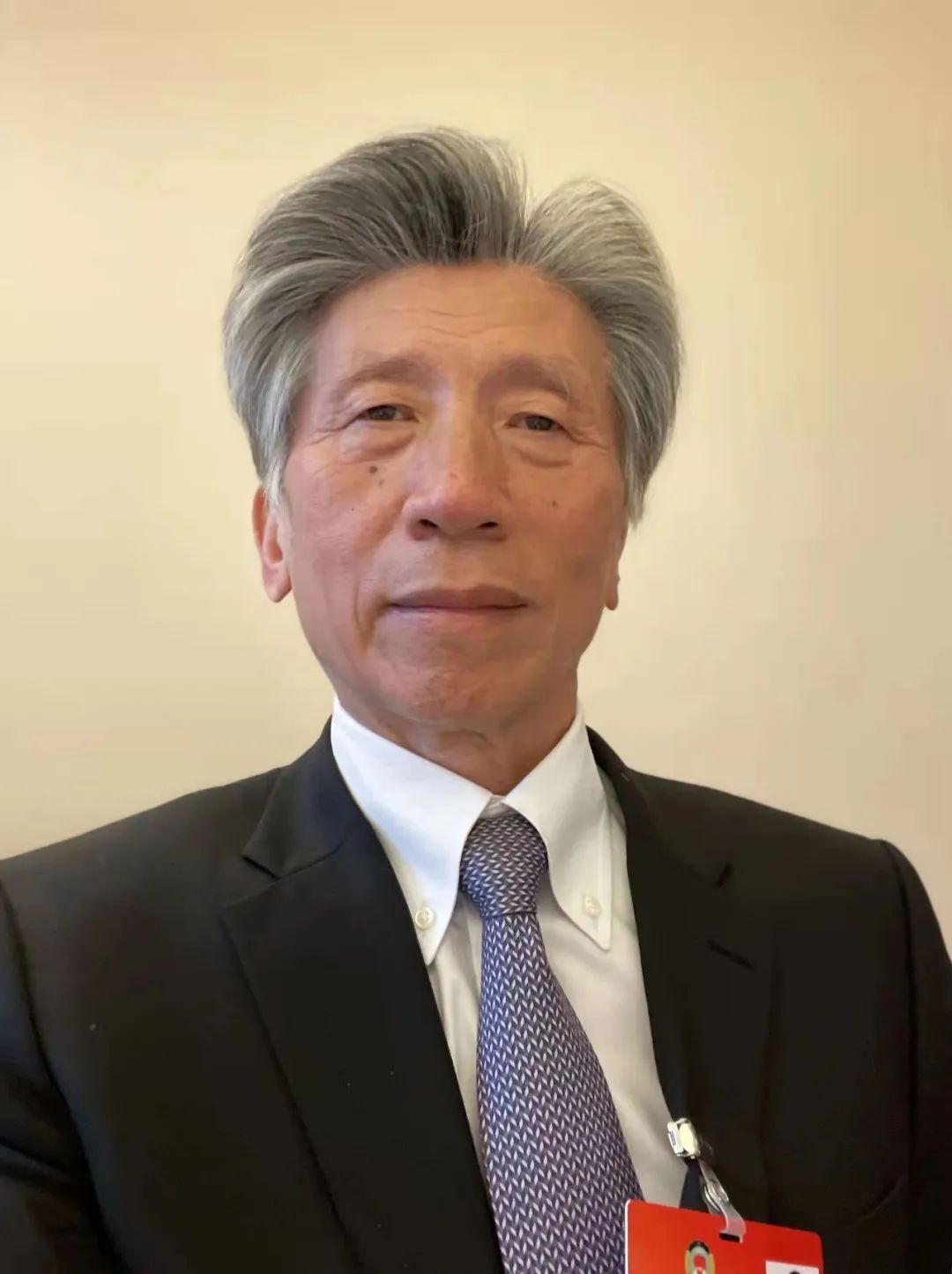 聚焦两会 范迪安：持续推动重大主题美术创作、加强艺术赋能乡村振兴、加强西藏自治区石窟与寺庙壁画保护研究