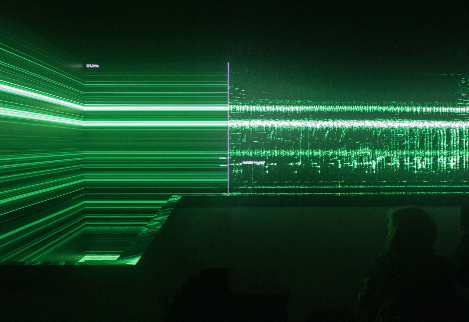 伯尼·克劳斯&United Visual Artists，《动物管弦乐队》