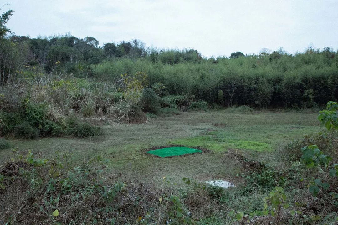 李必豪 《标准草坪》