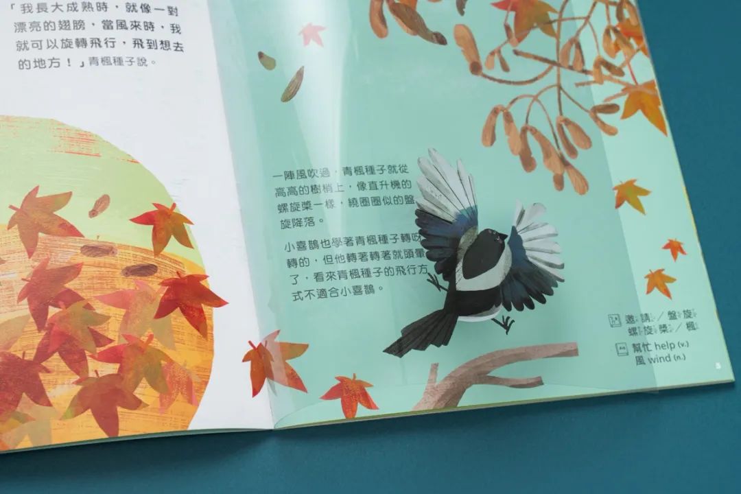《如果风看得见》内页
