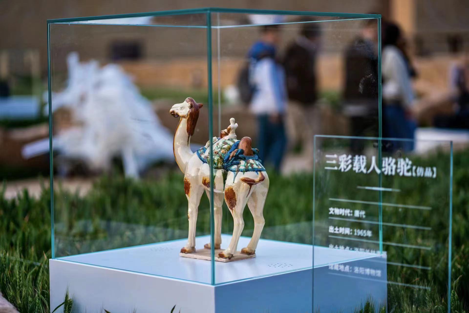 郑州有座“麦田里的博物馆”，等着大家前去探访