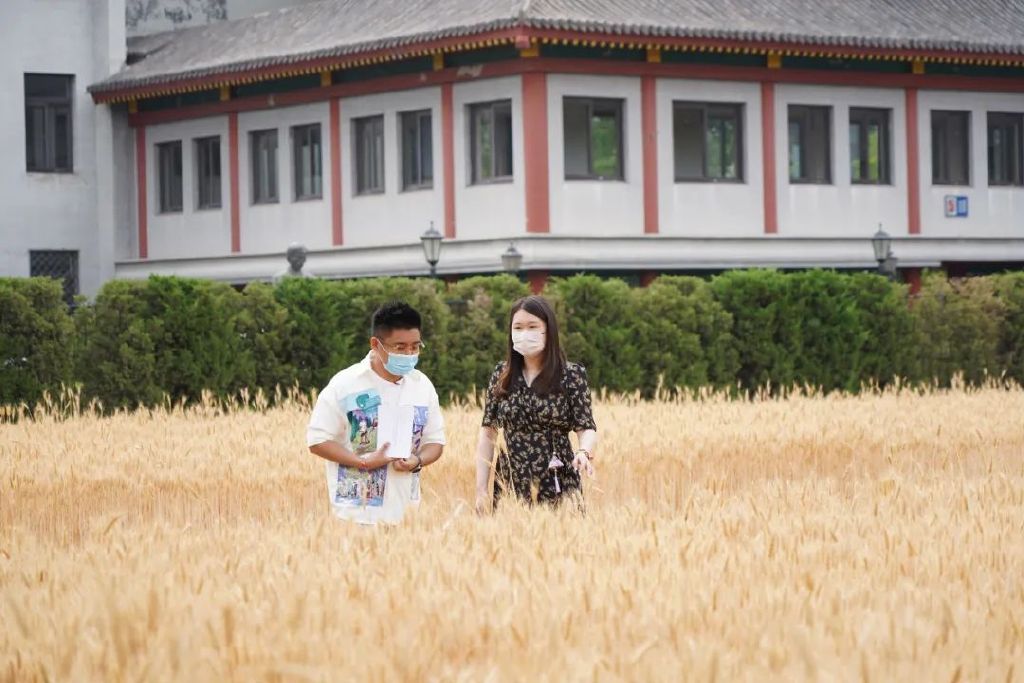 “聚焦文物?；だ?促进人民参与共享”——北京地区文化和自然遗产日系列活动