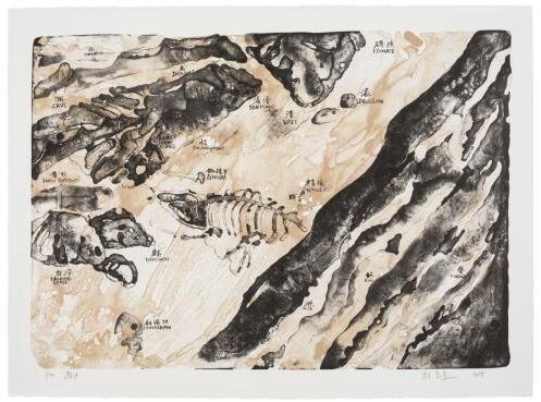  《潮汐》，石版套色，76 × 56 cm，2019