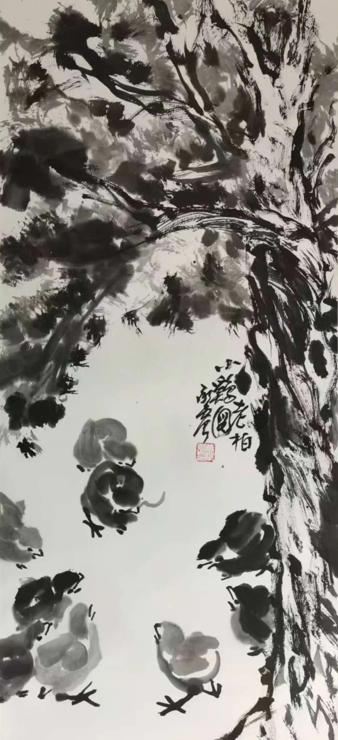 图片